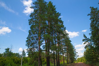 27 сентября – Всемирный день туризма